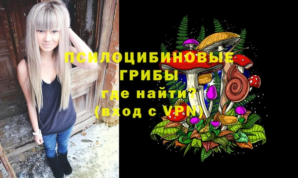 прущие грибы Балабаново