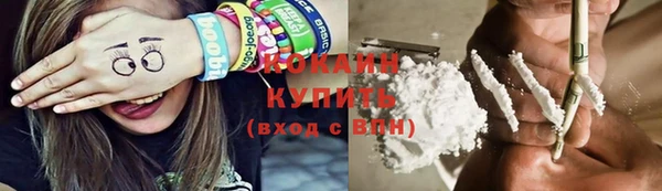 молекула духа Покачи
