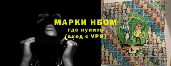 прущие грибы Балабаново